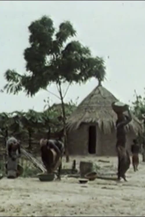 Subsister en savane