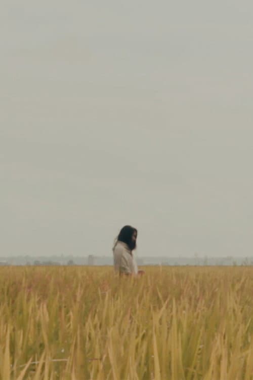 The Lost Piece